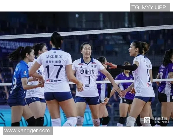 广州排球队与深圳排球队赛后个人能力全面分析与对比